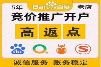 百度推广代运营案例：案例分享：打造行业领军品牌